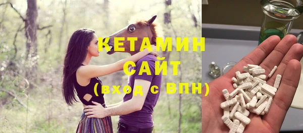 гидра Дрезна